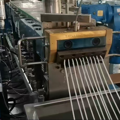 Extruder